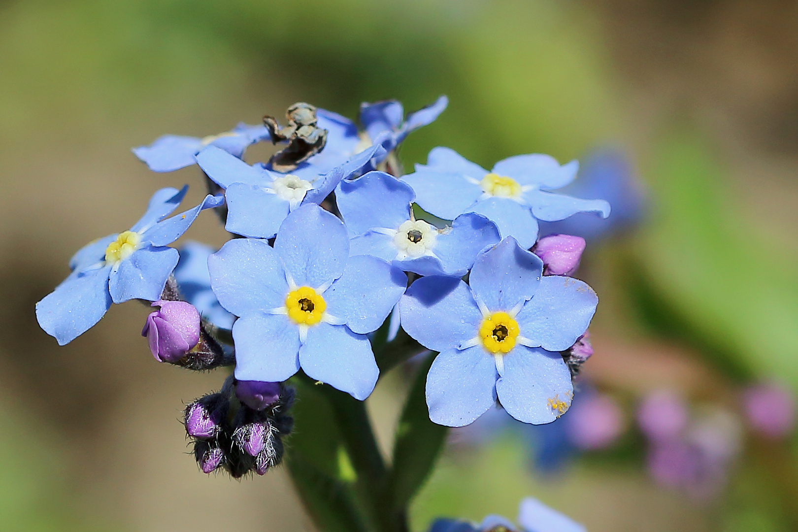 Alles im blauen Bereich :-)