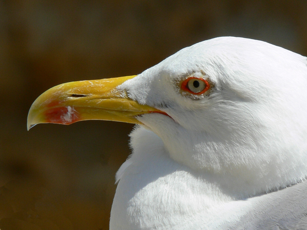 Alles im Blick