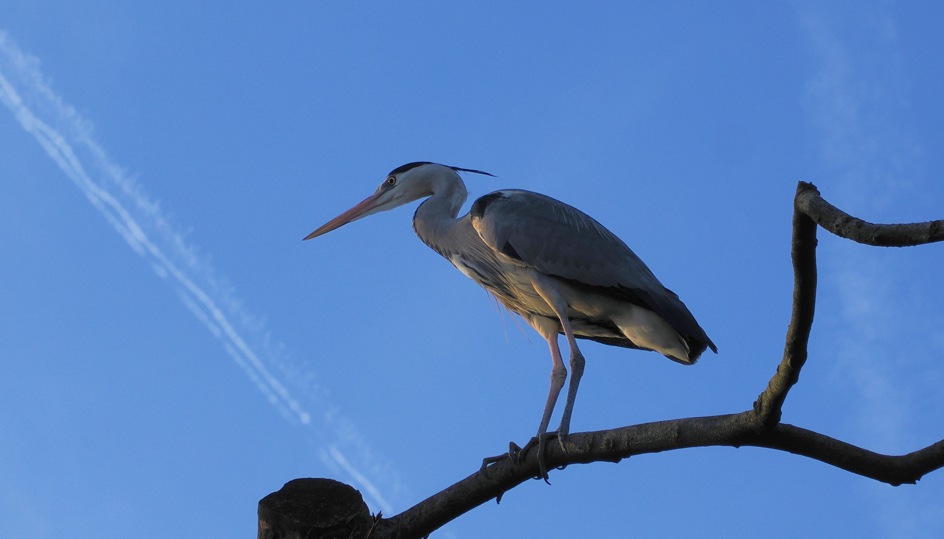 Alles im Blick …