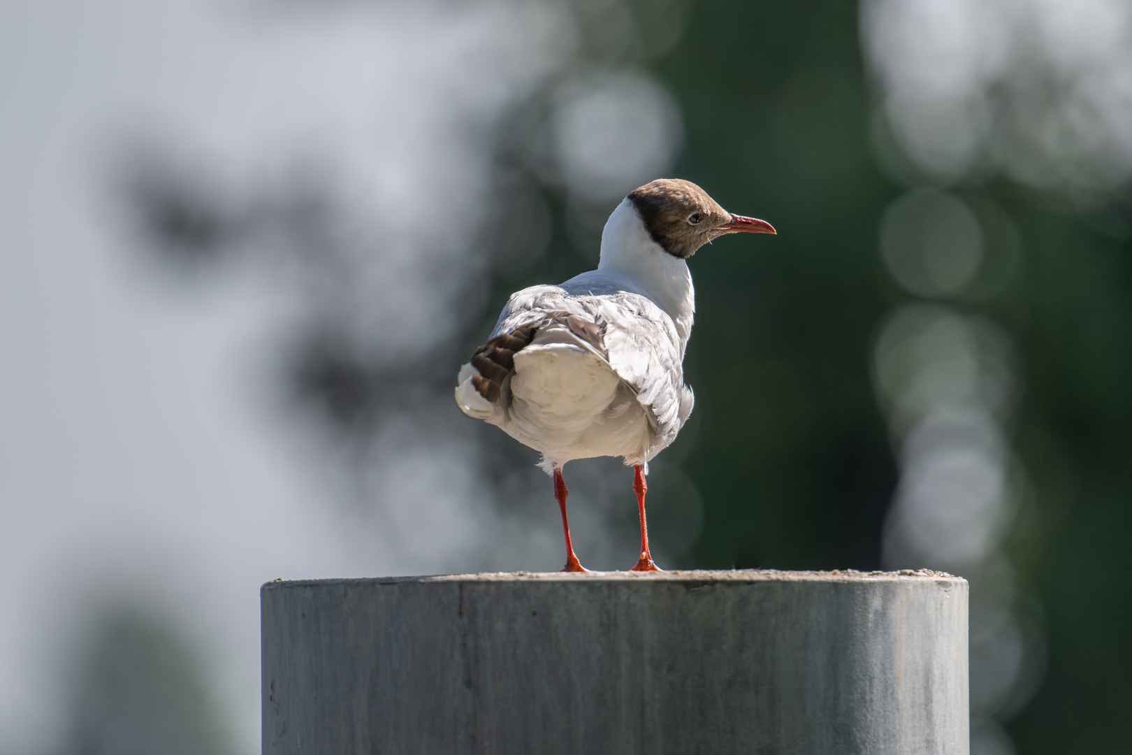 Alles im Blick