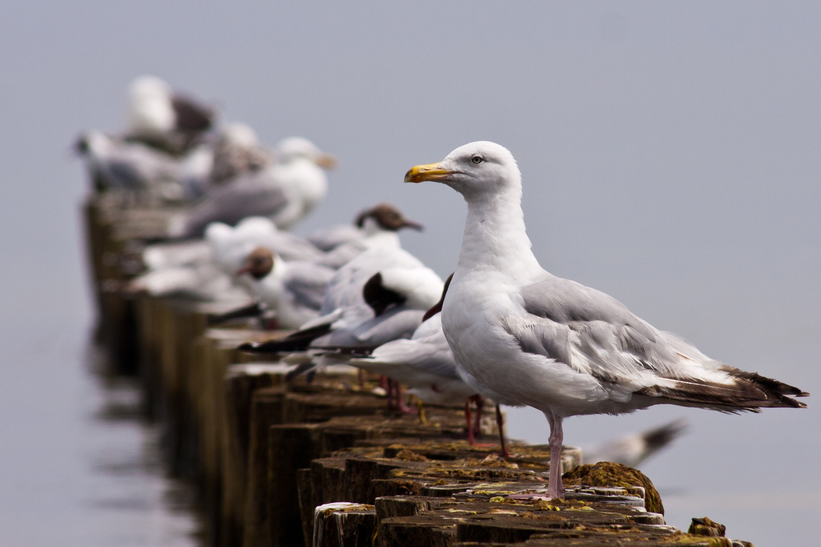 Alles im Blick