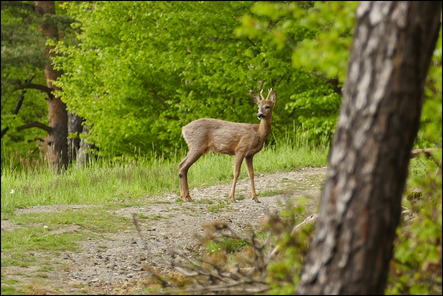 Alles im Blick