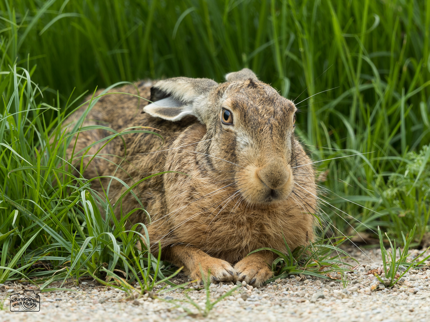 alles im Blick-1