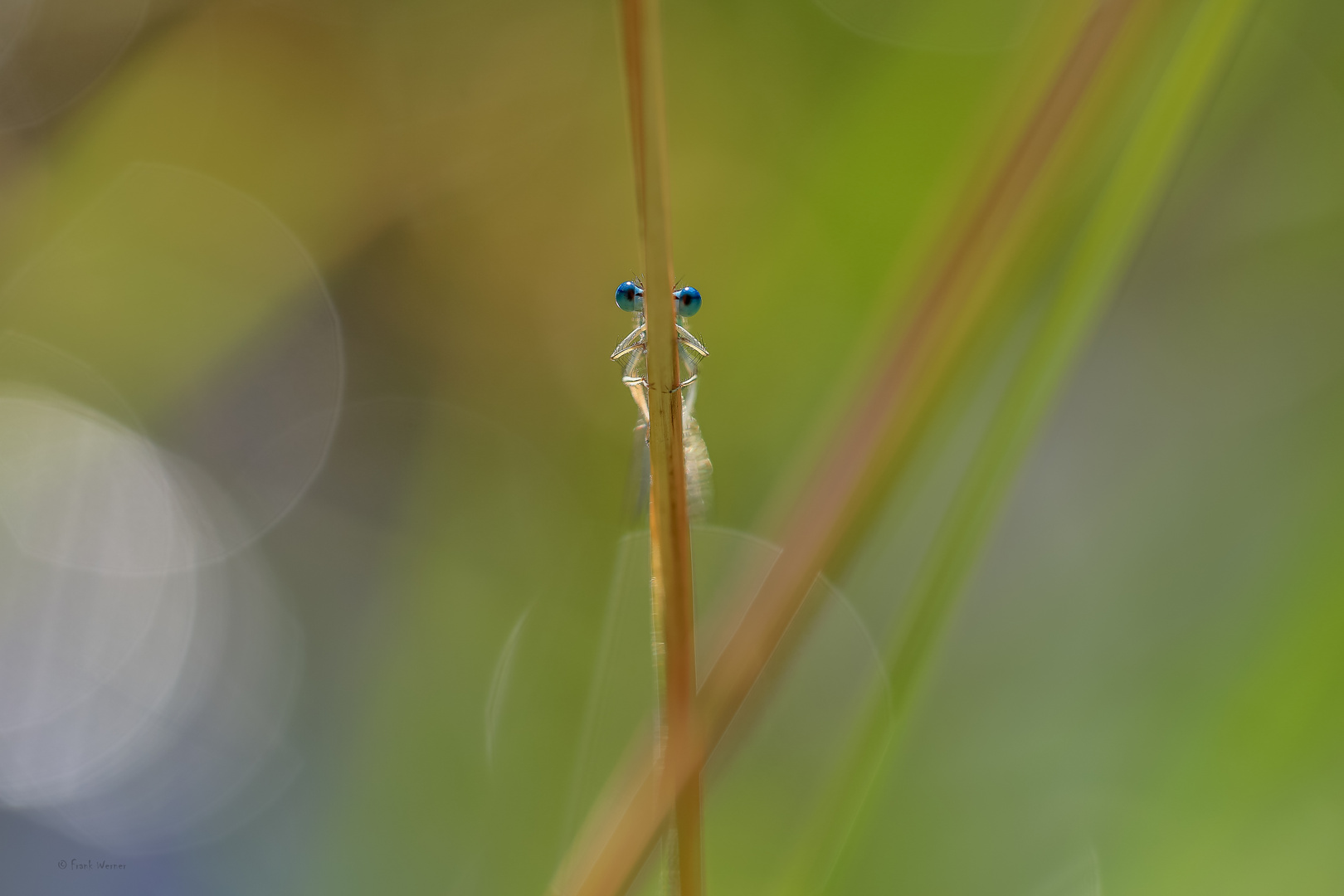 Alles im Blick