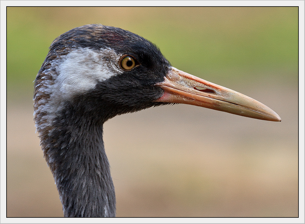 Alles im Blick