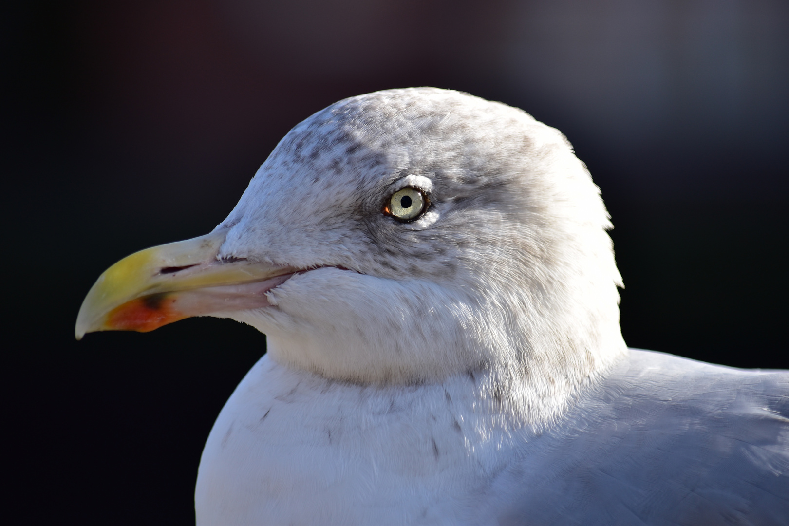 Alles im Blick