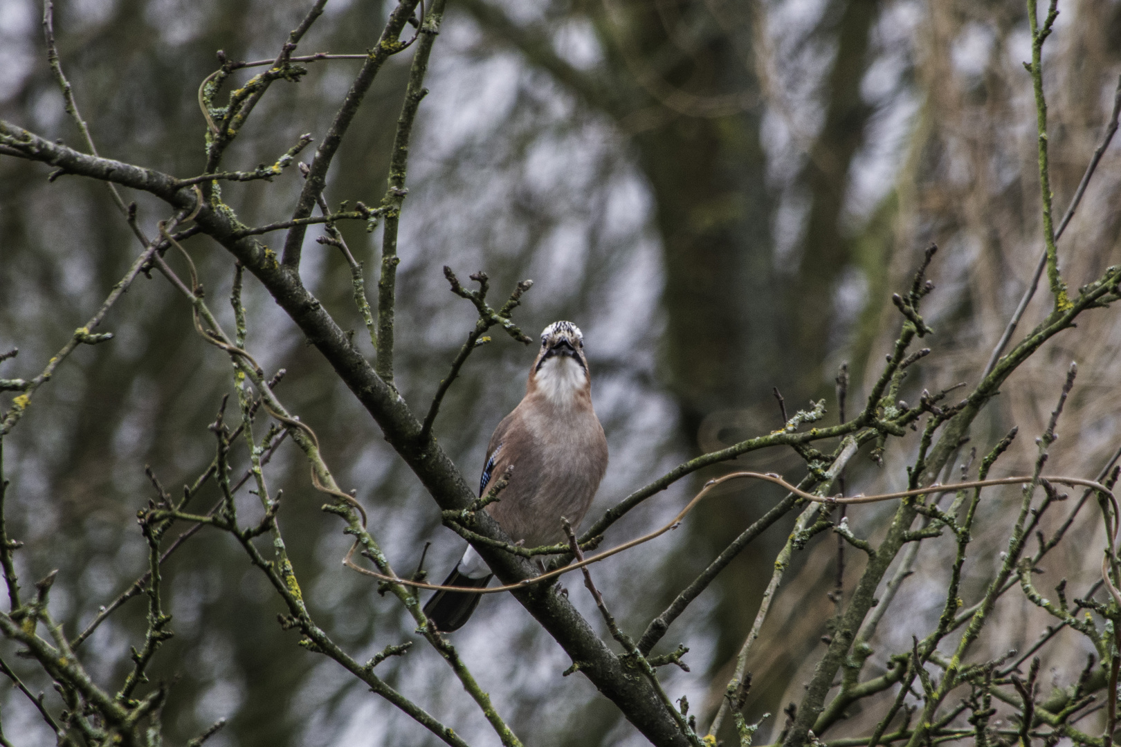 alles im Blick