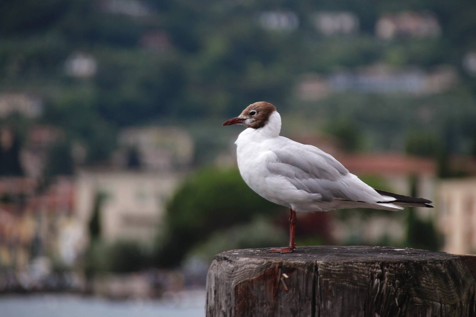 Alles im Blick