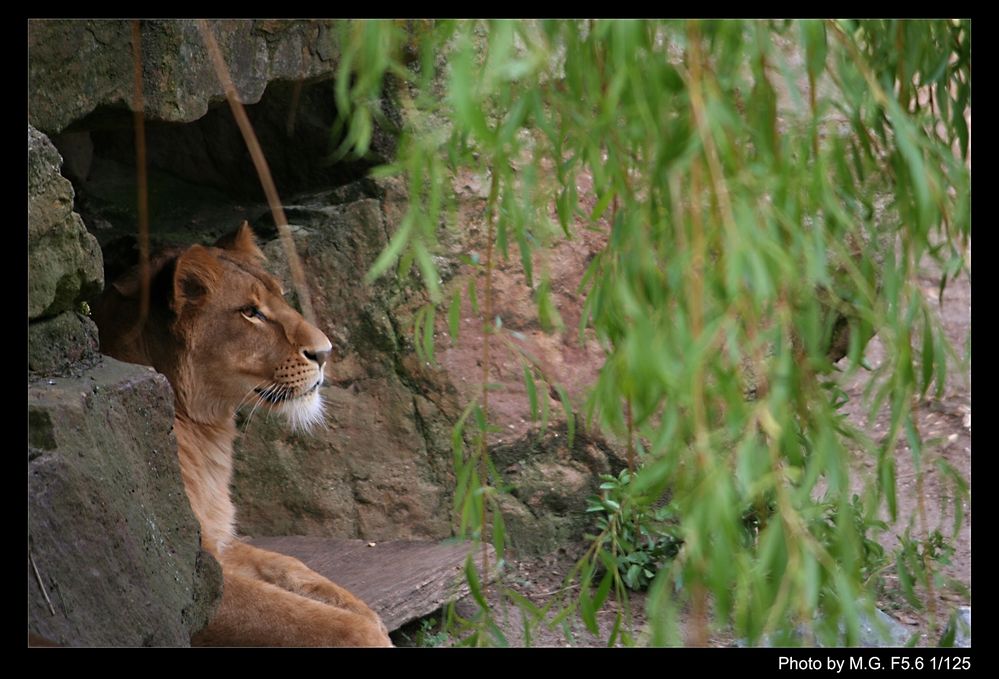 Alles im Blick