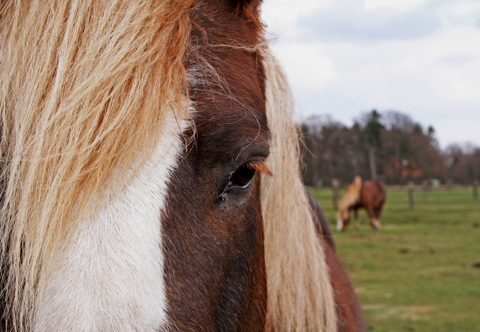 Alles im Blick