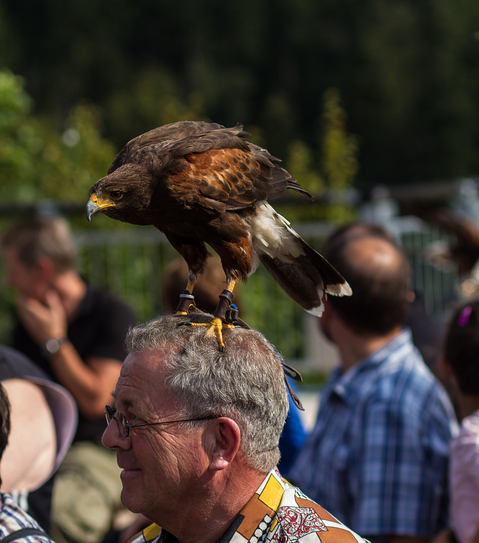 Alles im Blick