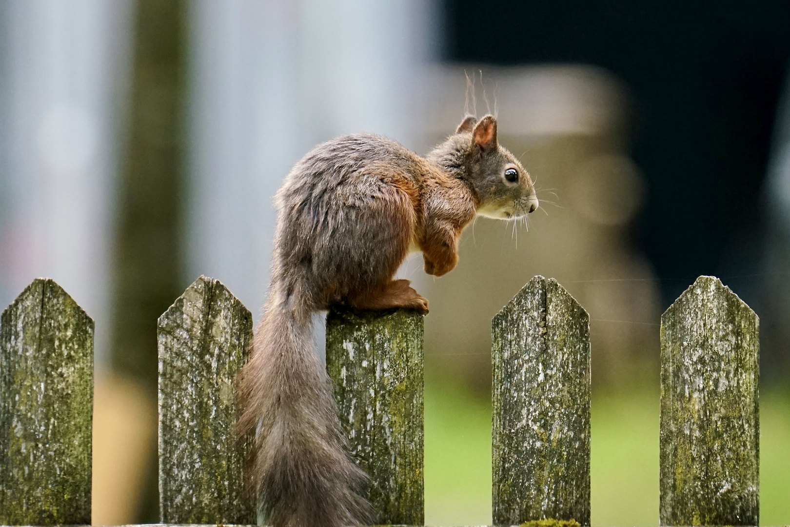 alles im Blick..