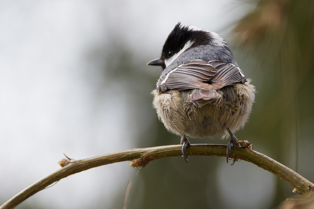 Alles im Blick