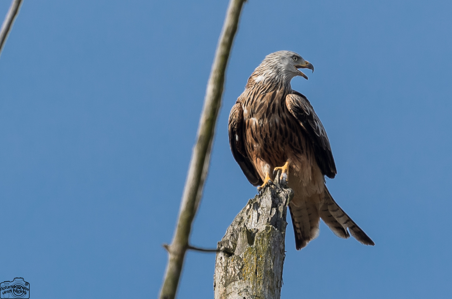 alles im Blick