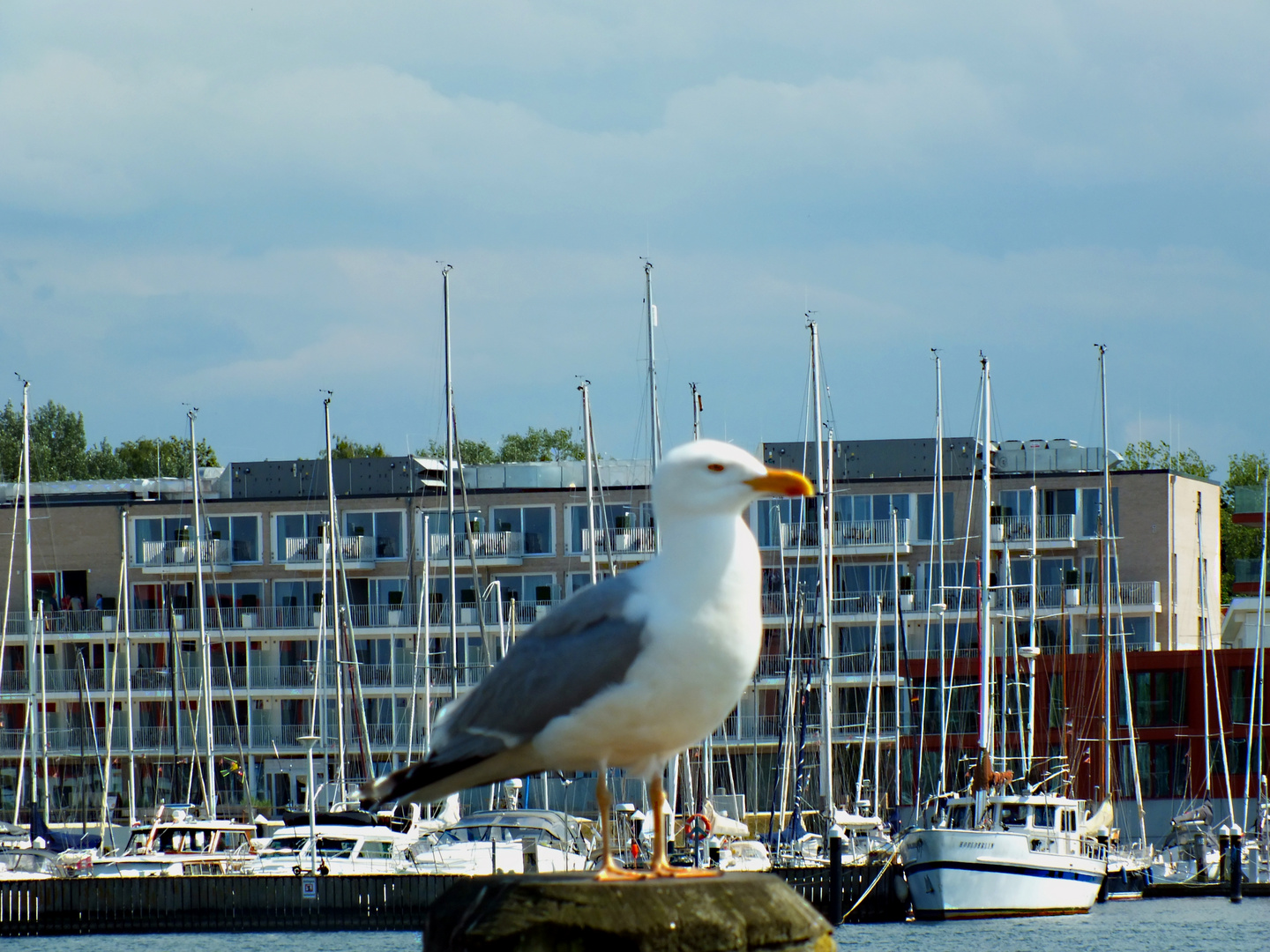 alles im Blick