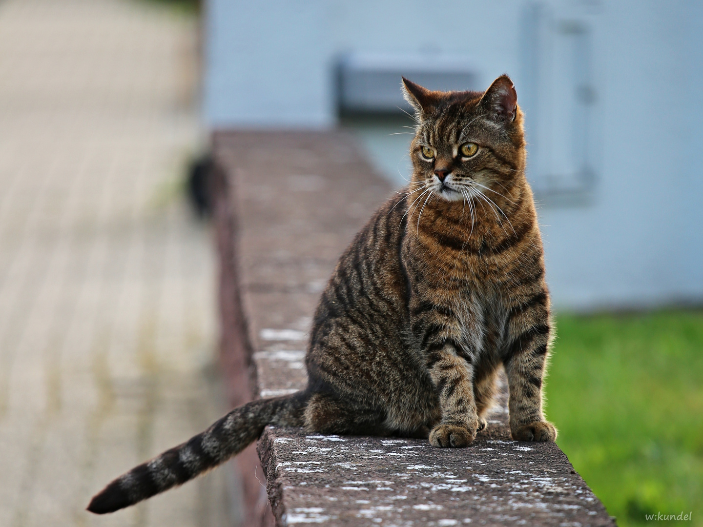 Alles im Blick