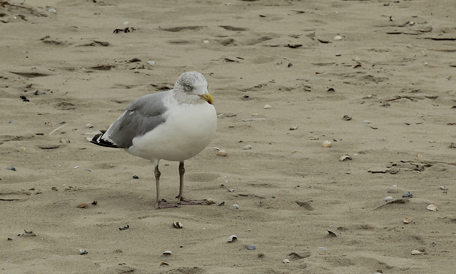 Alles im Blick