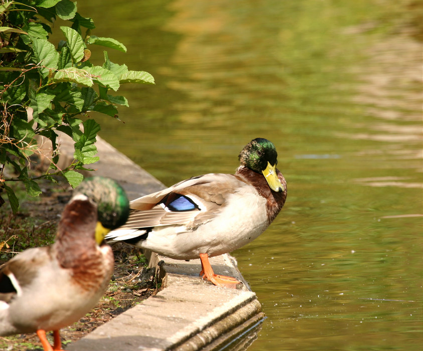 Alles im Blick