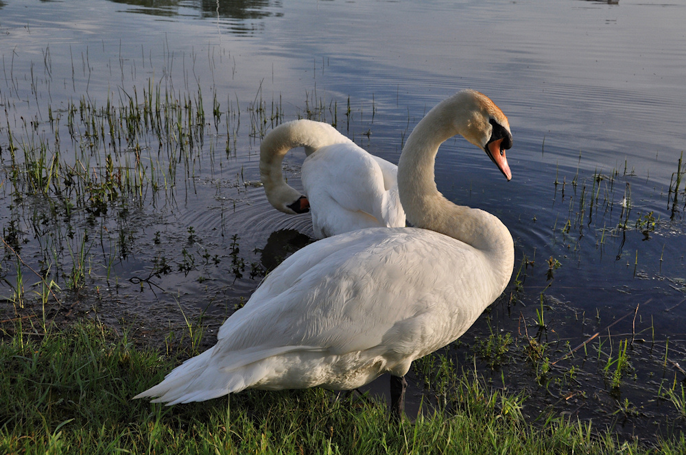 alles im Blick...