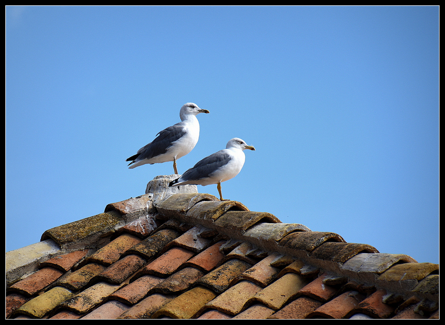 Alles im Blick....