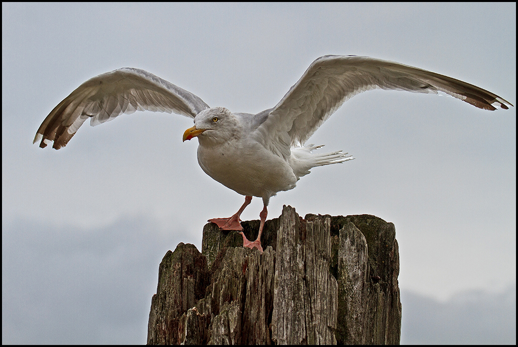 Alles im Blick