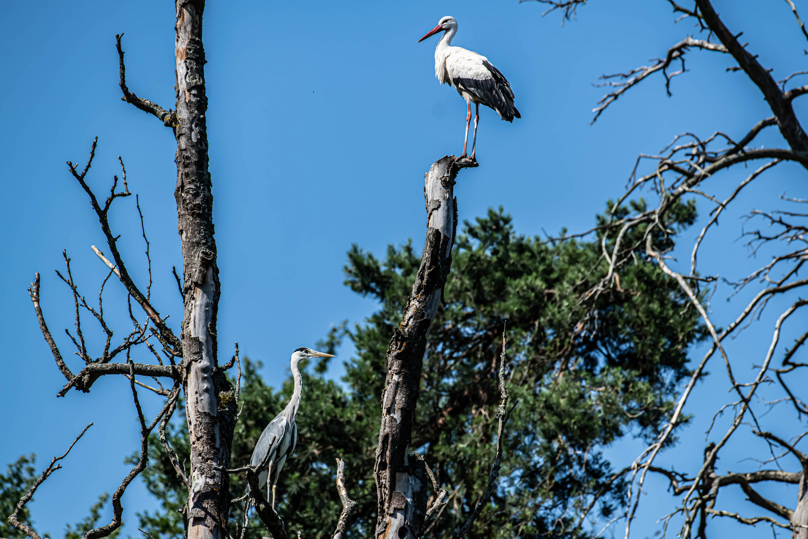 Alles im Blick