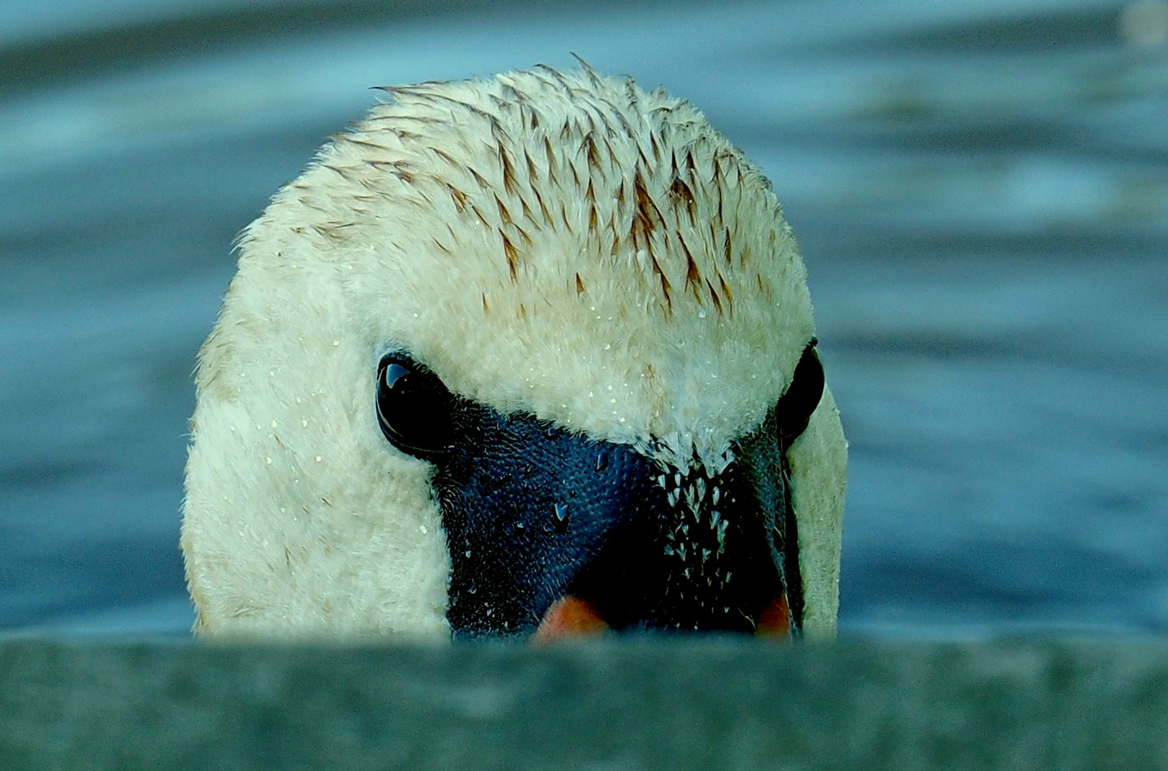 alles im Blick