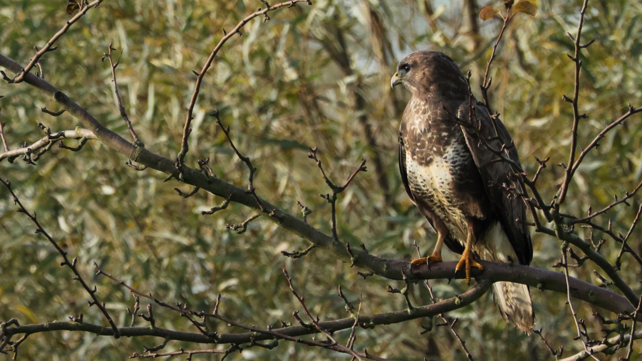 Alles im Blick