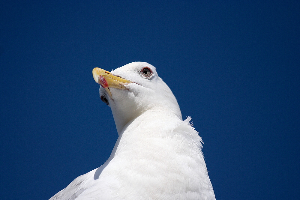 Alles im Blick