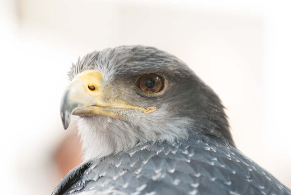 Alles im Blick von photokina-contest-2012-1 