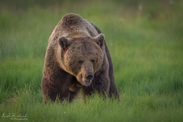 Alles im Blick (auch den Fotografen)