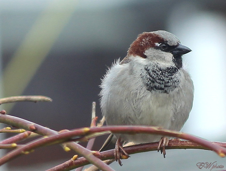 alles im Blick...