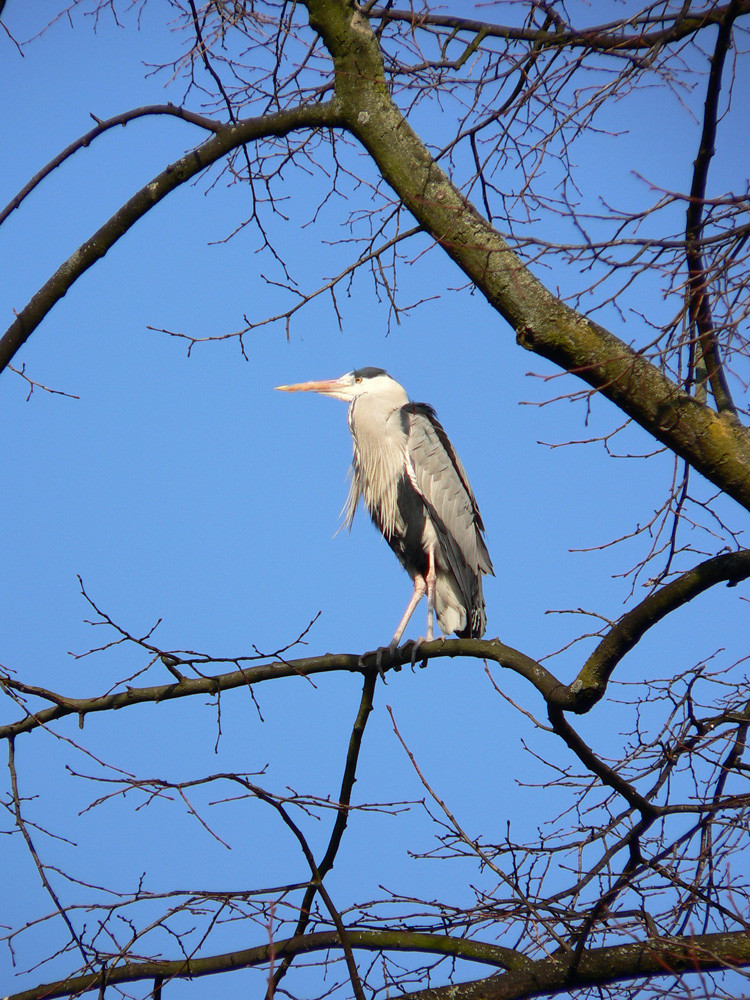 Alles im Blick