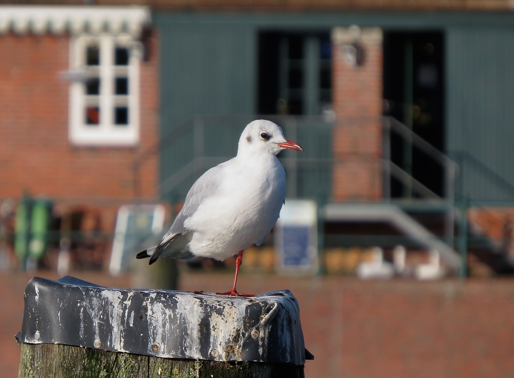 alles im Blick