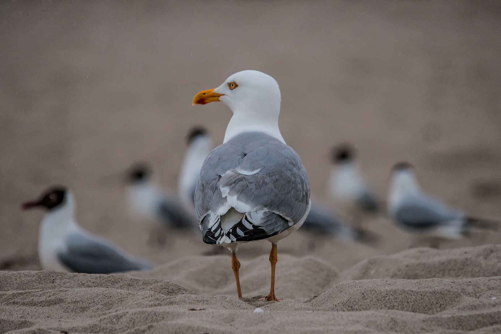 Alles im Blick