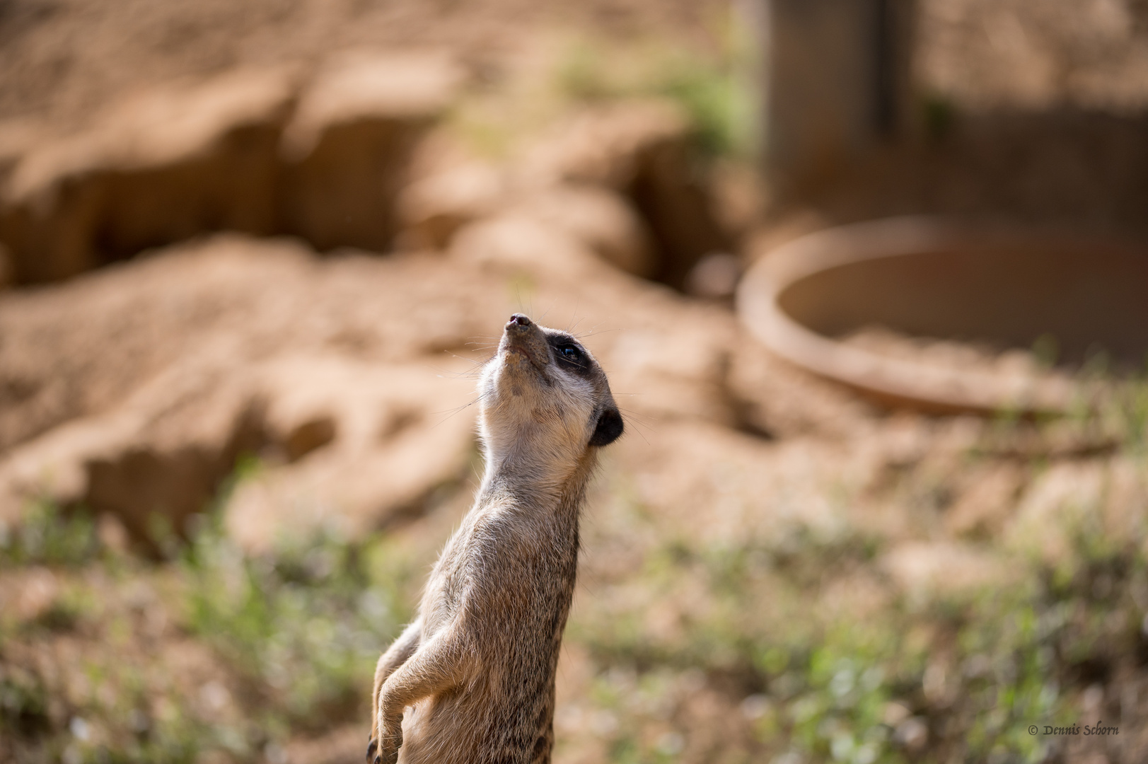 Alles im Blick