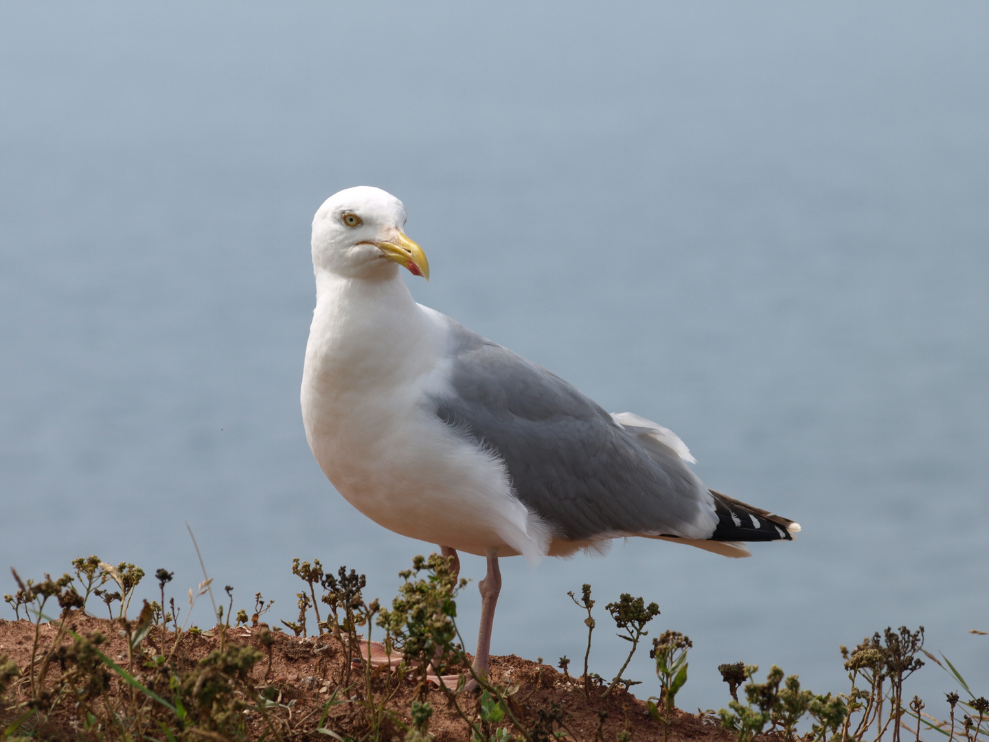 Alles im Blick