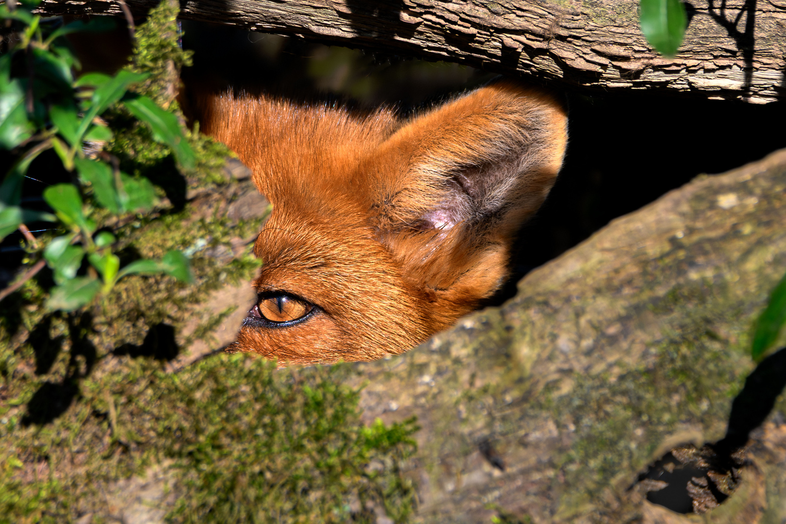 Alles im Blick