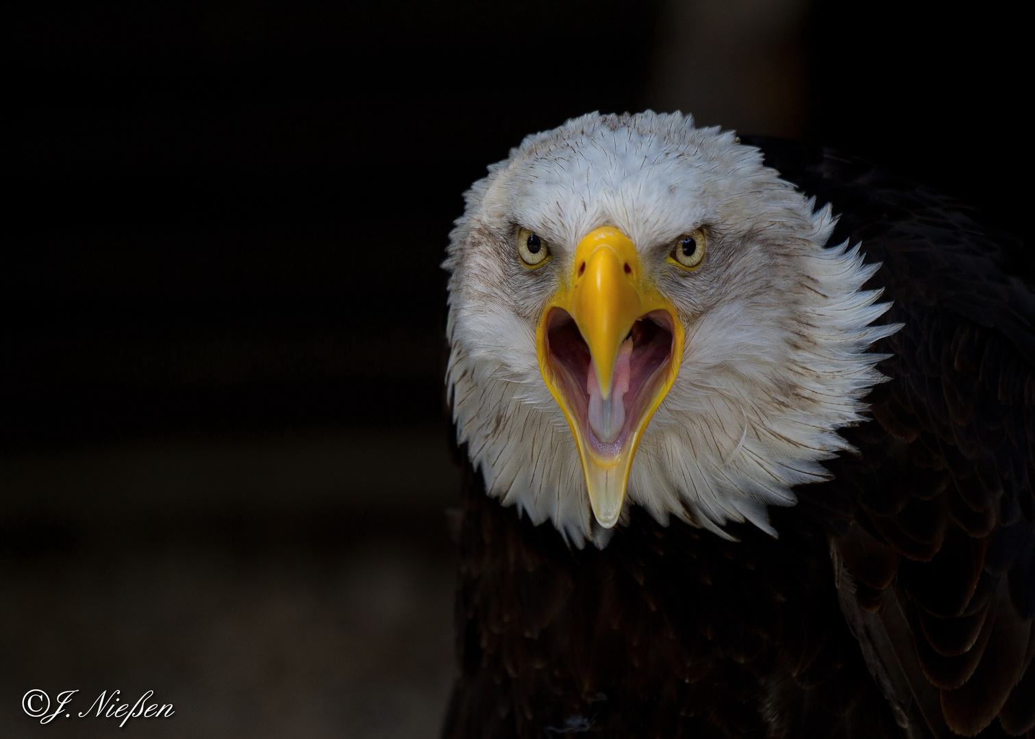 Alles im Blick