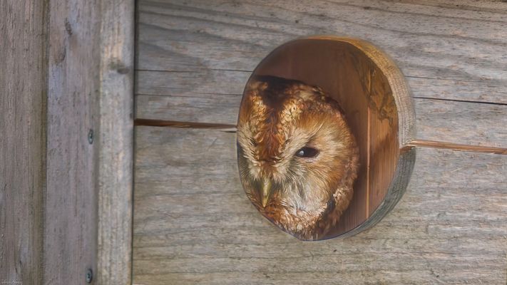 alles im Blick  Dokuaufnahme