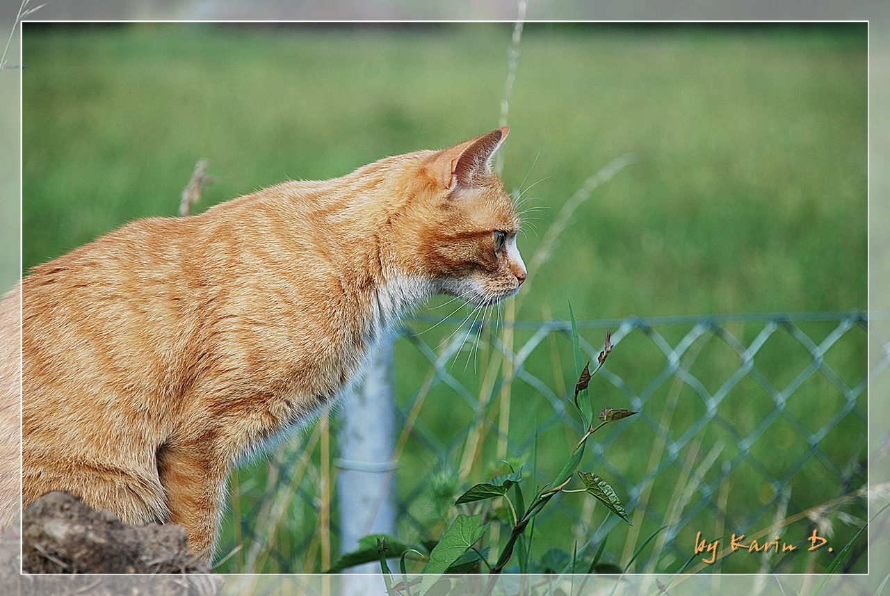 alles im Blick