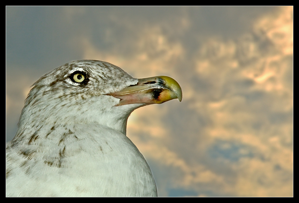 Alles im Blick!