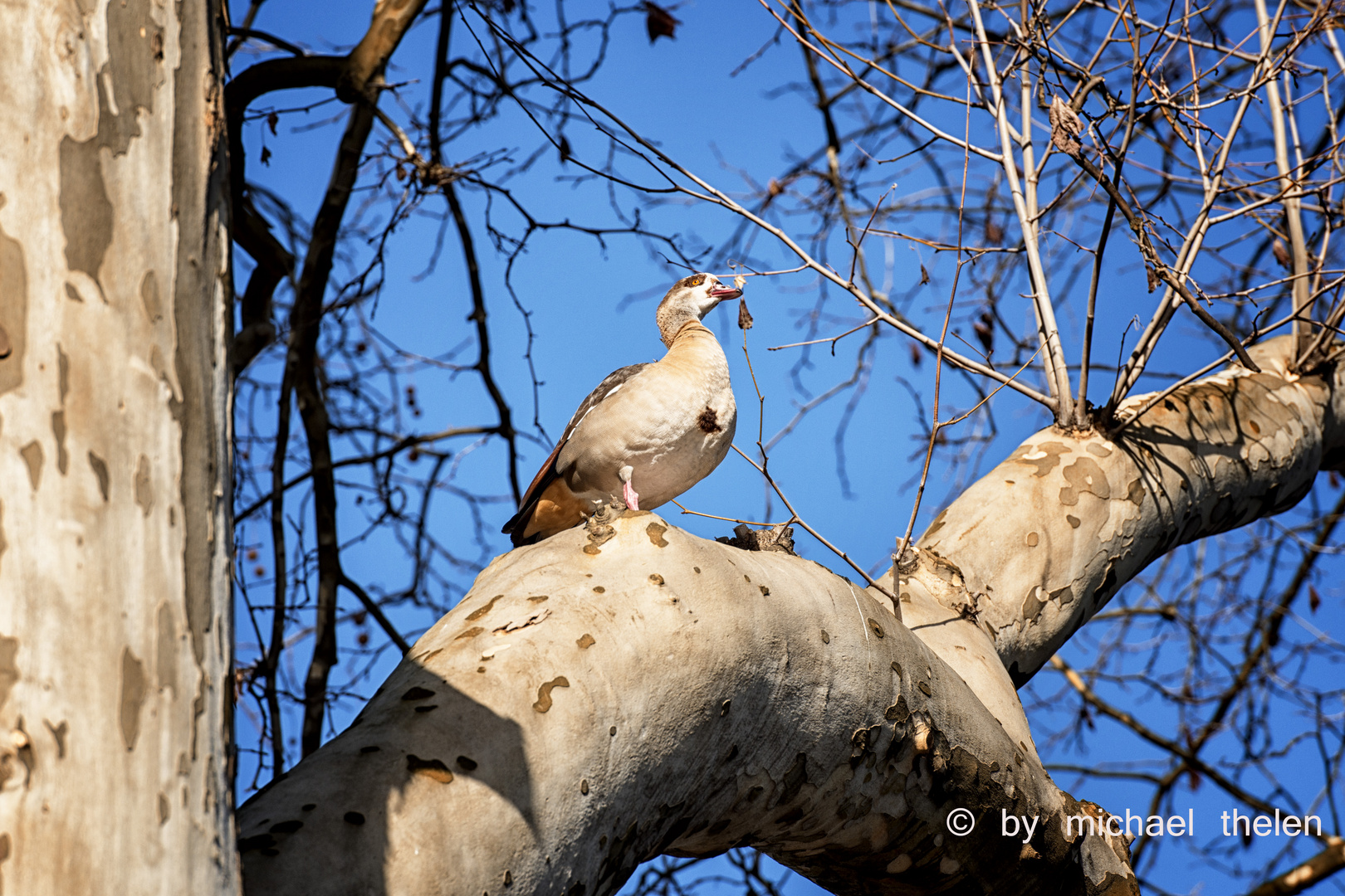 Alles im Blick