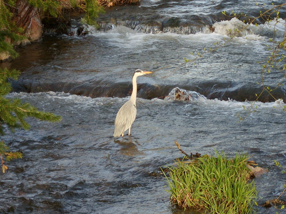 alles im Fluss