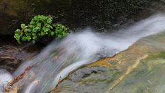 *** Alles im Fluss ***