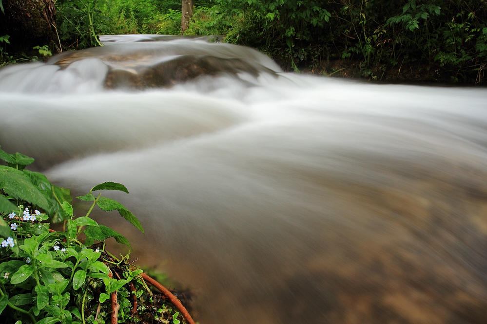 [°°° Alles im Fluss °°°]