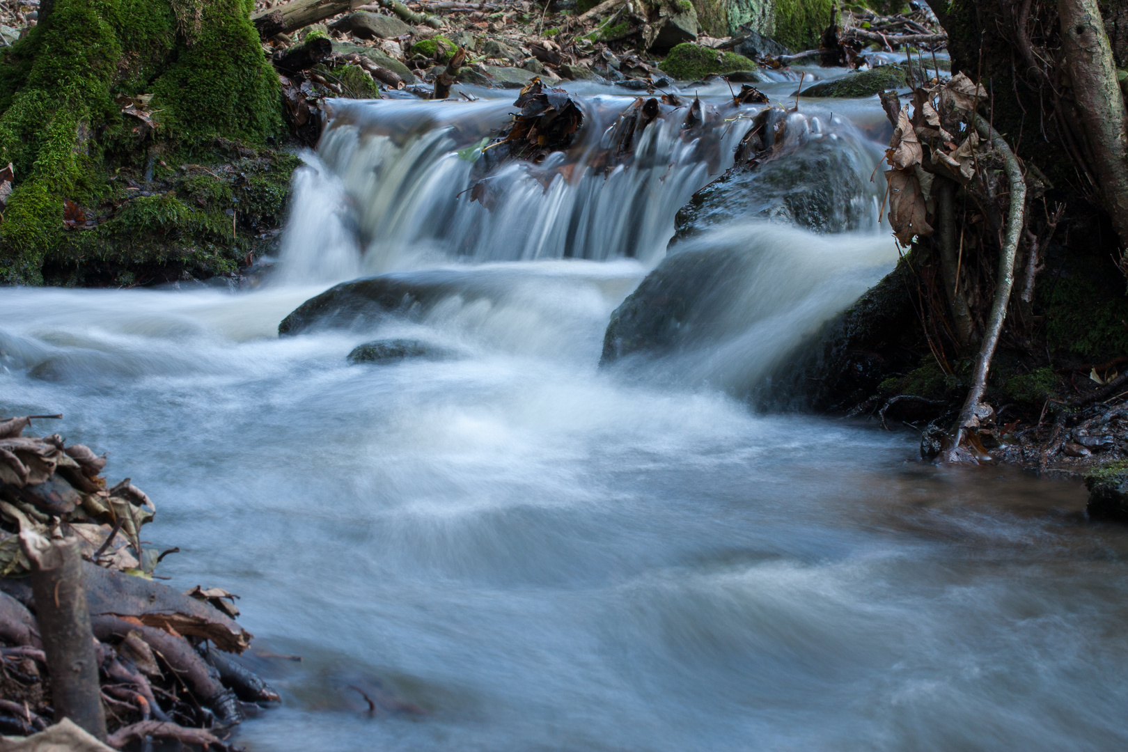 Alles im Fluss I