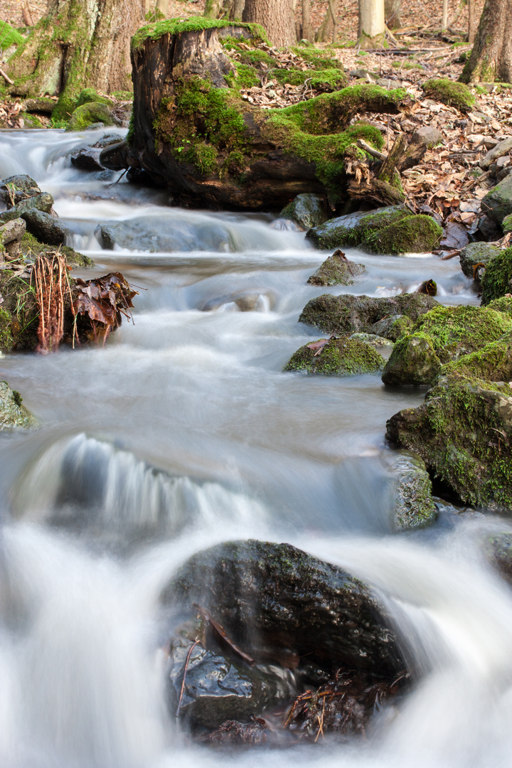 Alles im Fluss II