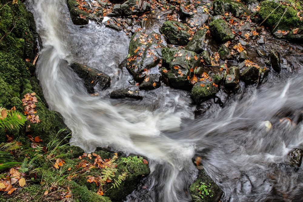 alles im Fluss - wie alles fließt.