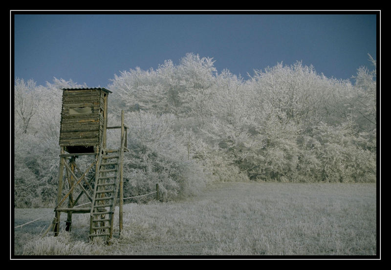 .. alles im frostigem Kleid ...